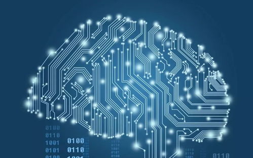 数博会期间出行攻略 执行尾号限行及开四停四，网络技术服务保驾护航